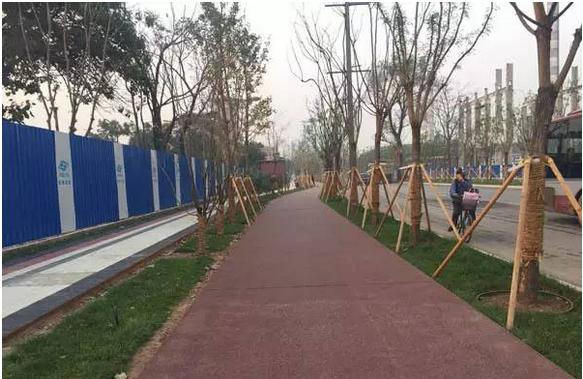 喜訊|山美股份榮獲2019年度北京科學技術進步獎二等獎