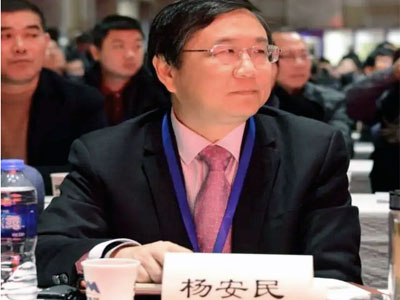 風(fēng)生水起！楊安民董事長談上海山美股份有限公司經(jīng)營之道 //高端訪談