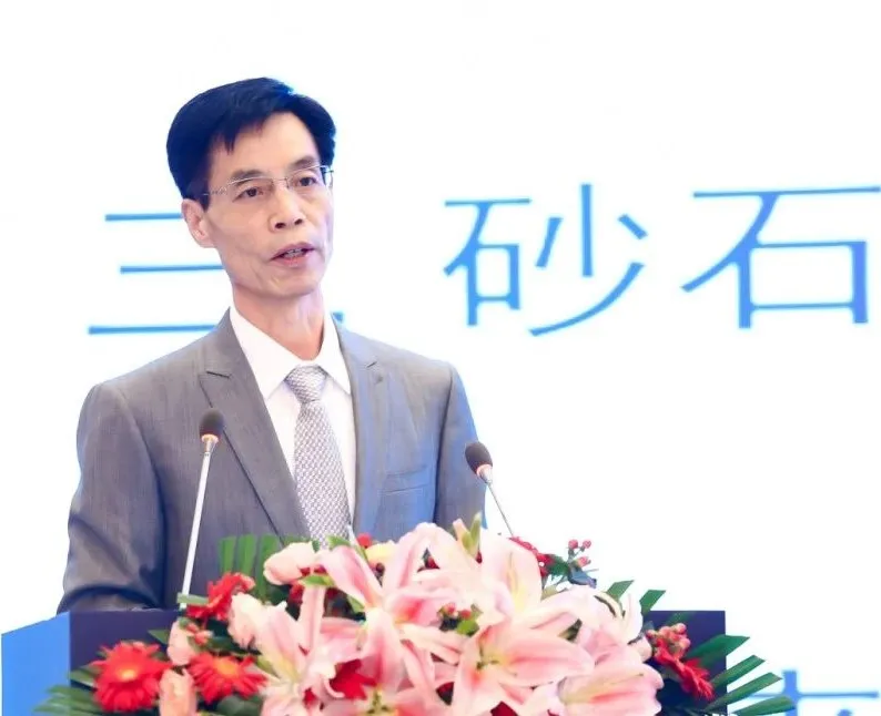 主旨報(bào)告 | 胡幼奕以國(guó)際化視角，提出固廢綜合利用和生態(tài)環(huán)境修復(fù)新思路